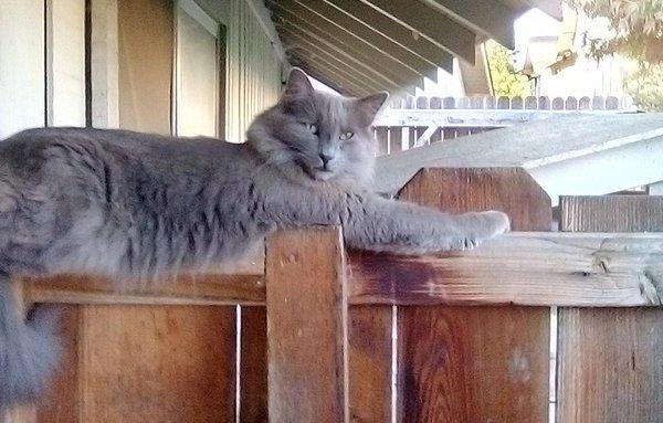 photo of Mitchell M.