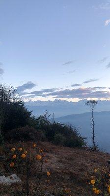 photo of Dipankar T.