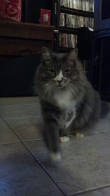 Photo of Kimberly D.