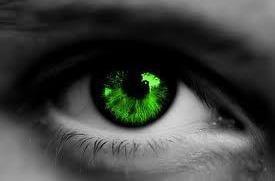 photo of Courtney L.