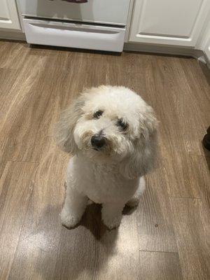 photo of Catherine A.