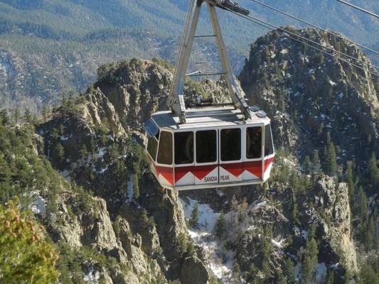 photo of Stephanie J.