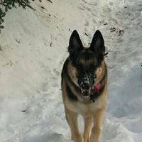 photo of Debbie B.
