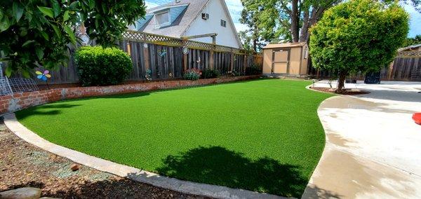 photo of ForeverGreen A.