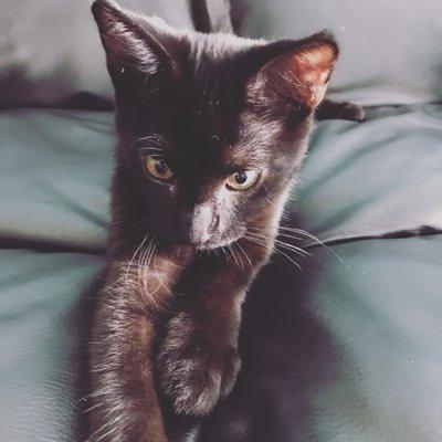 Photo of Yuki N.