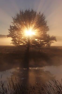 photo of Stephanie D.