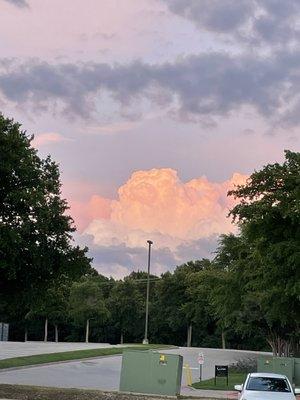 photo of Isabelle M.