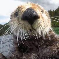 photo of Jennifer K.