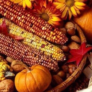 photo of StevenSharon G.