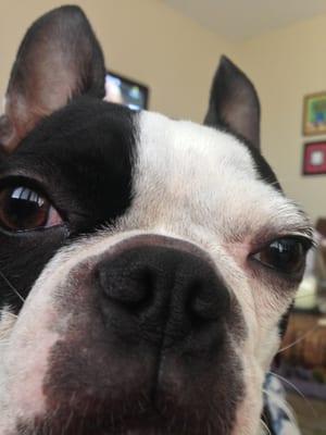 Photo of Scootie G.