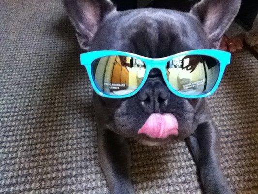 photo of Hermelinda G.