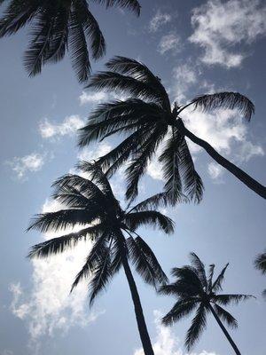 photo of Kourtney O.