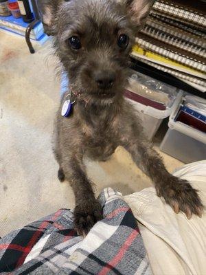 photo of Christina H.