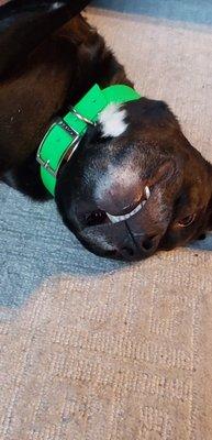 photo of Melessia C.