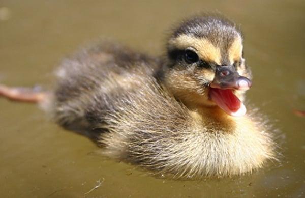 photo of Christina R.