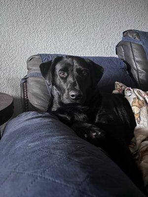 photo of Kimberly L.