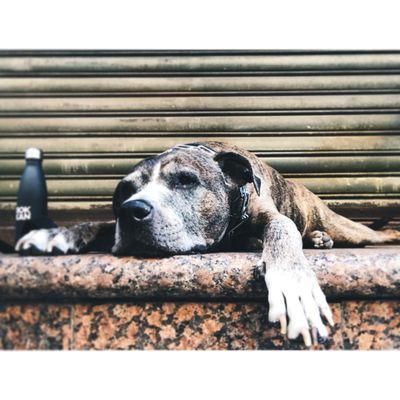 photo of Christine Y.