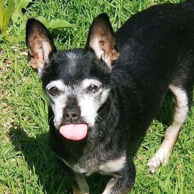 photo of Kristine M.