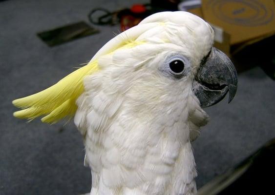 Photo of Sally C.