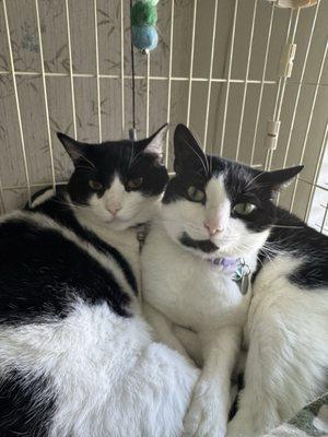 photo of Christine D.