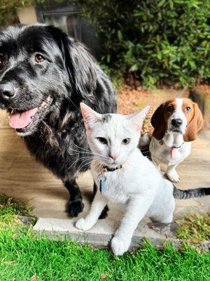 photo of Patricia ..