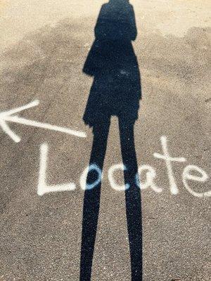 photo of Daniella S.