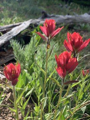 photo of Throwing S.