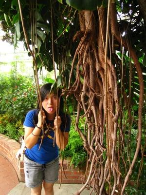 Photo of Wenyuan J.