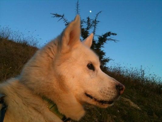 photo of Rosemarie D.