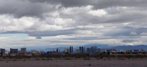 photo of Standards M.