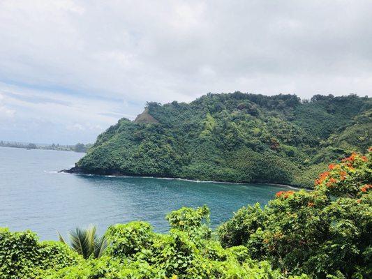 photo of Esmeralda H.