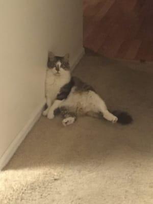 photo of Priscilla S.