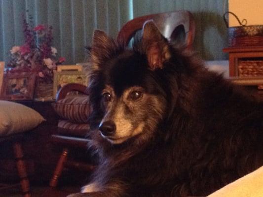 photo of Jennifer T.