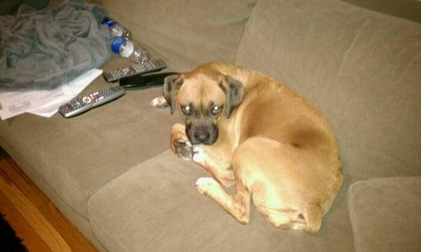 photo of Jennifer B.