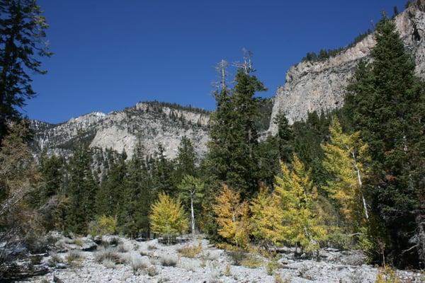 photo of Christine U.