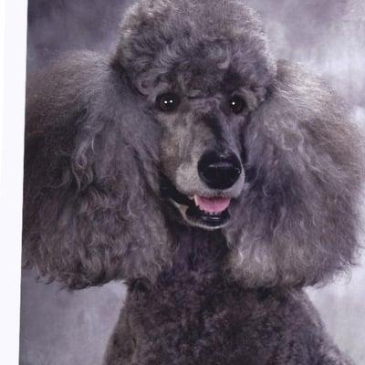 Photo of Doris A.