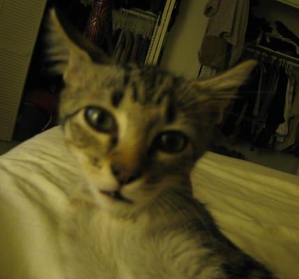 Photo of Lu A.