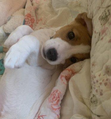 Photo of Charli E.