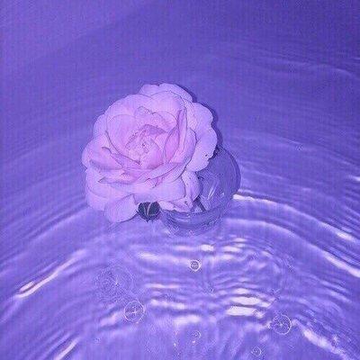 Photo of Xx A.