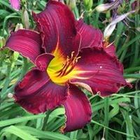Photo of Cathy R.