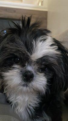 Photo of Chris G.