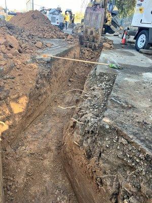 photo of Francisco R.