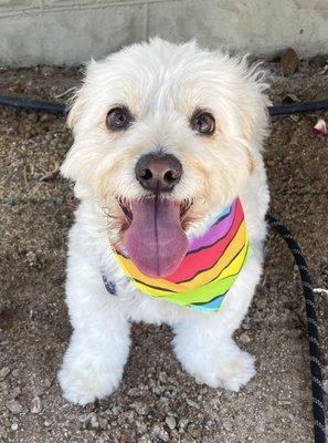 photo of Jacqueline R.