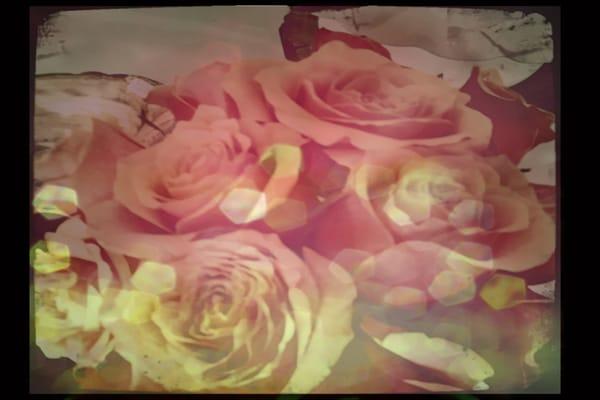 Photo of Sofia M.