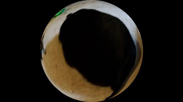 Photo of Jennifer M.