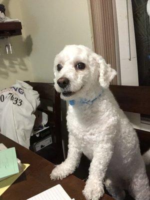 photo of Kassandra O.