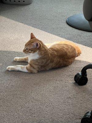 photo of Mohammed N.