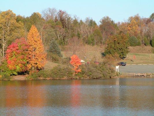 photo of Elizabeth L.