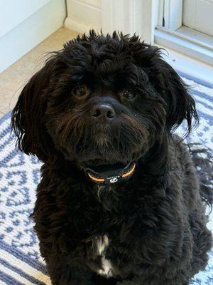 Photo of Jack M.