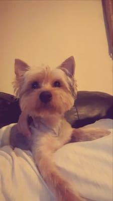 photo of Michelle M.